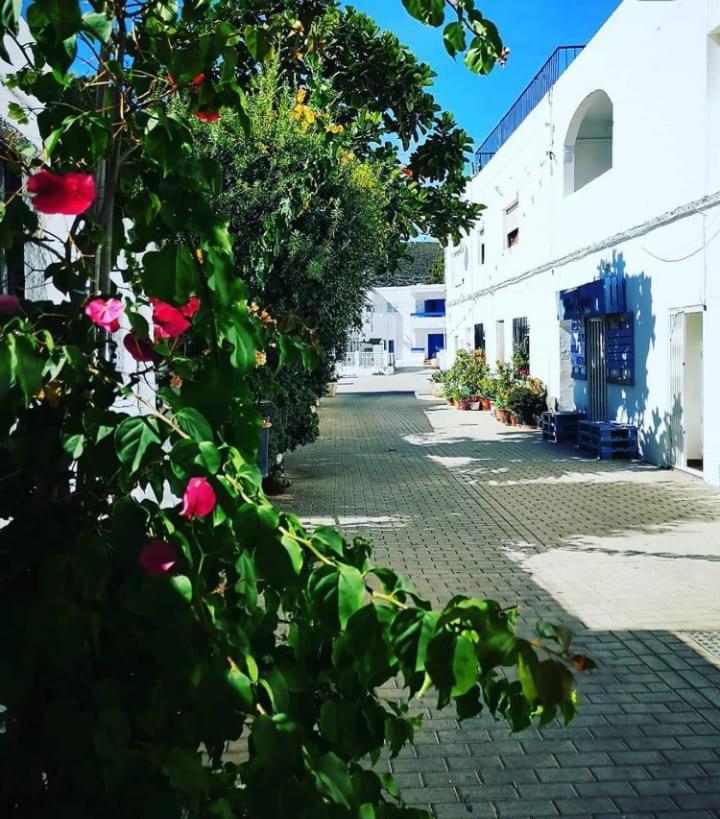 Casa Del Pez Vivienda A Pie De Calle En Agua Amarga A 250 Metros De La Playa المظهر الخارجي الصورة